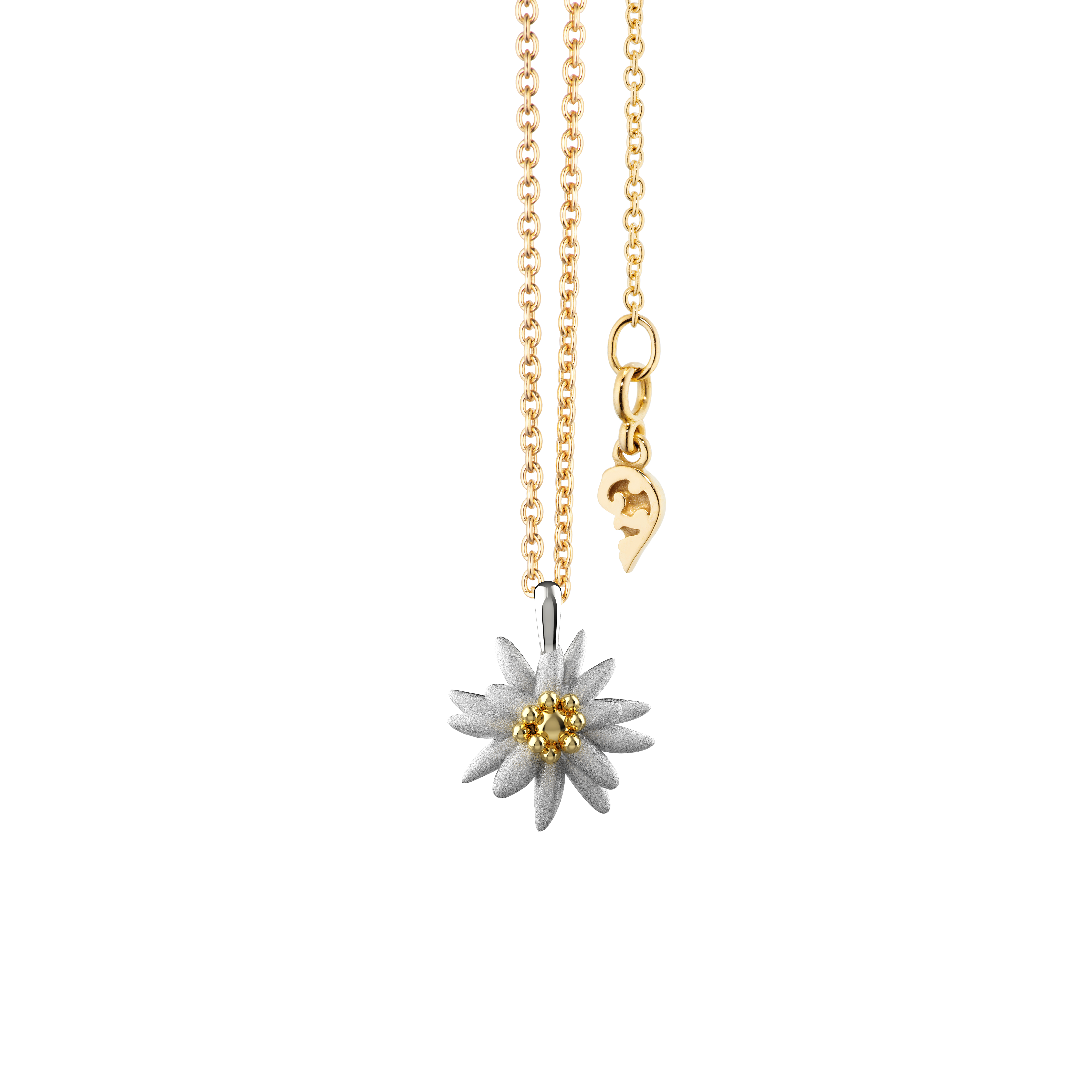 collier Edelweiss flower